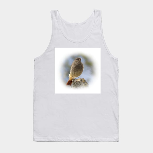 Black redstart Tank Top by Guardi